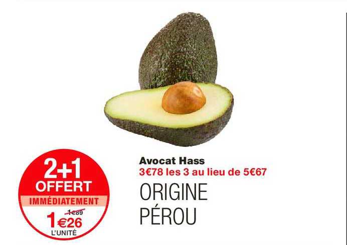 avocat hass 2+1 offert immédiatement