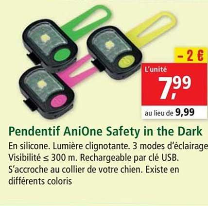 pendentif anione safety in the dark