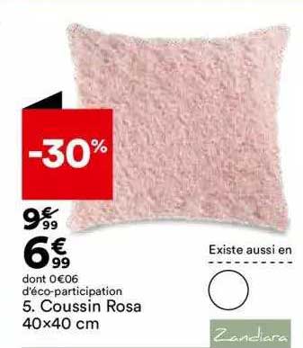 Coussin Rosa 40 X 40 Cm Zandiara