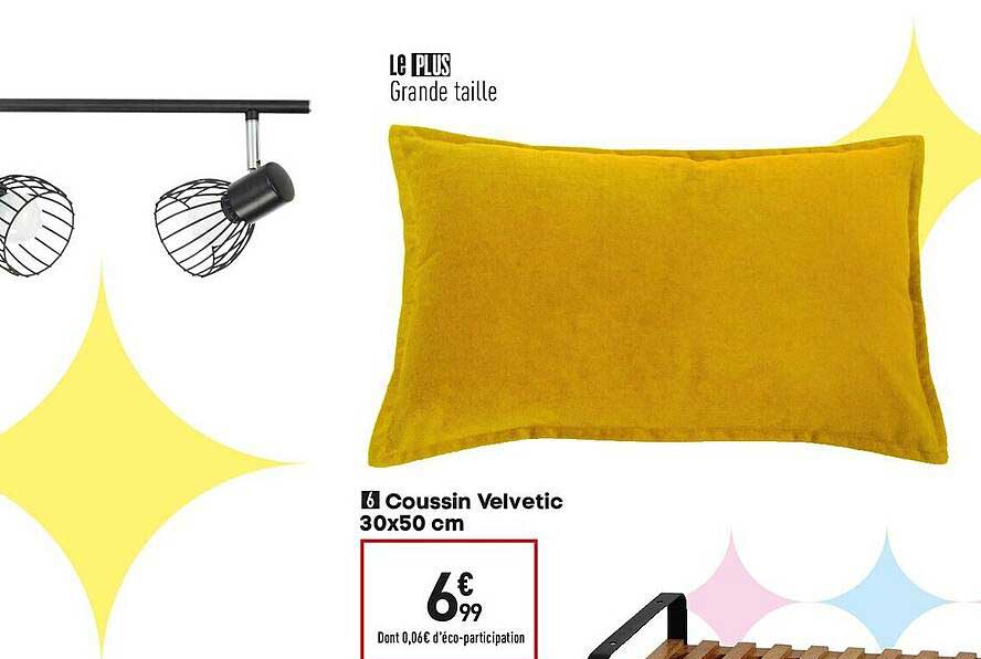 coussin velvetic 30 x 50 cm