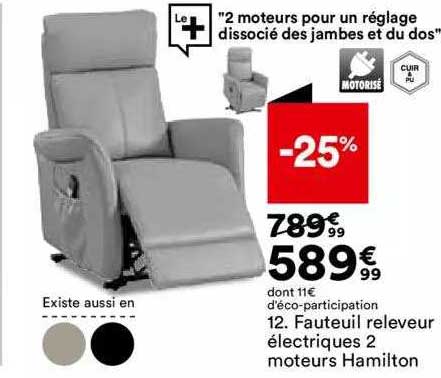fauteuil releveur électriques 2 moteurs hamilton