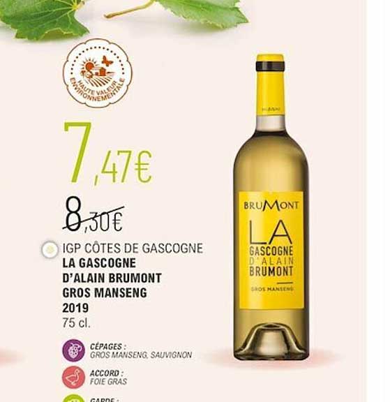 igp côtes de gascogne la gascogne d'alain brumont gros manseng 2019