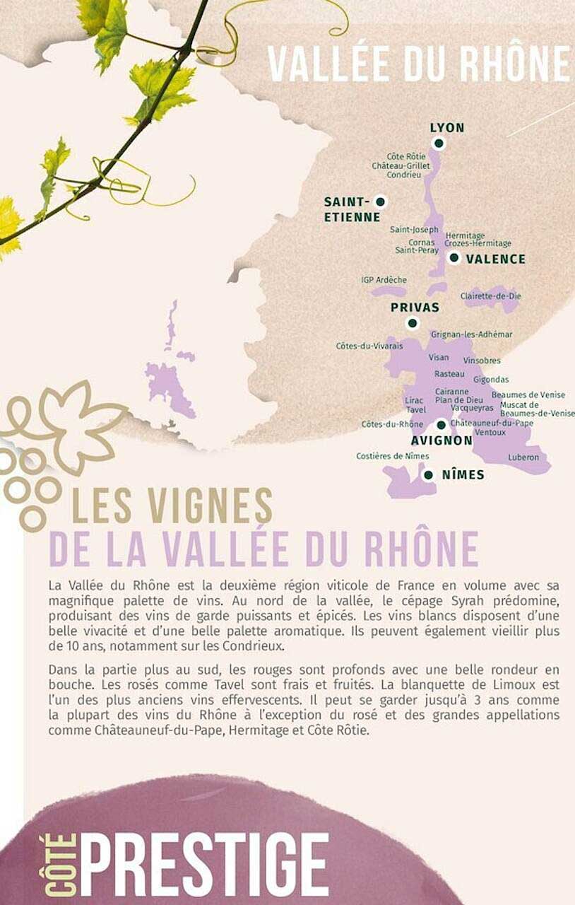 les vignes de la vallée du rhône