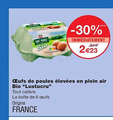 oeufs de poules élevées en plein air bio "lustucru"