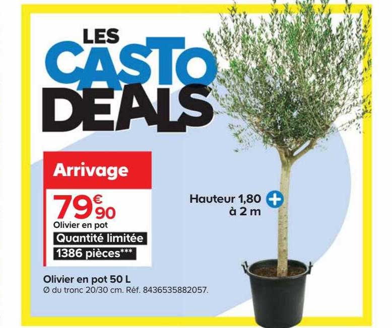 Olivier En Pot 50l