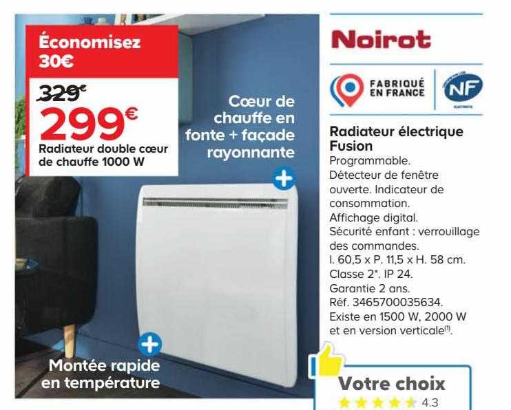radiateur double cœur de chauffe 1000 w noirot