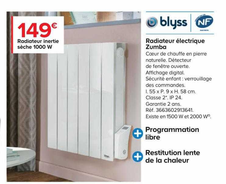radiateur inertie sèche 1000 w blyss