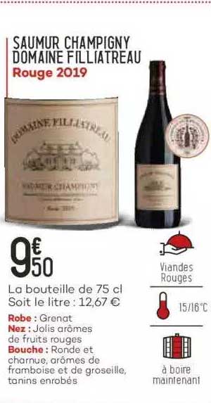 saumur champigny domaine filliatreau