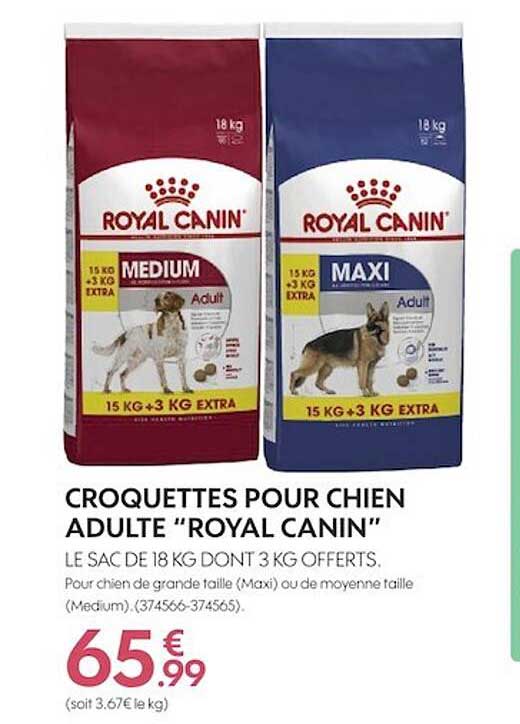 croquettess pour chien adulte royal canin