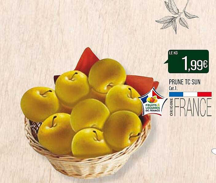 Prune Tc Sun
