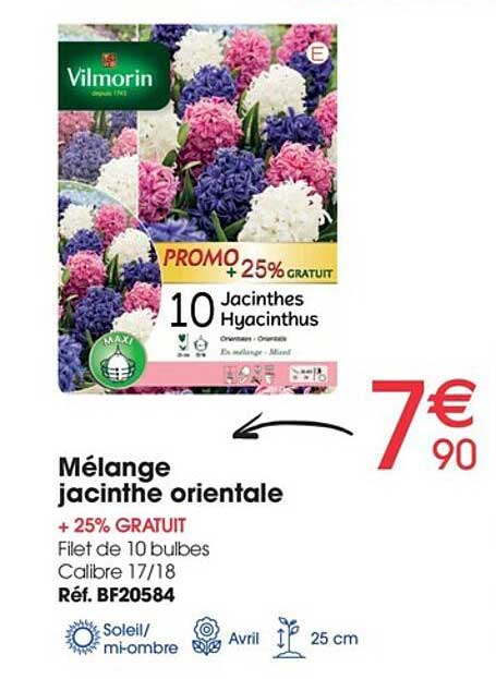 Mélange Jacinthe Orientale Vilmorin
