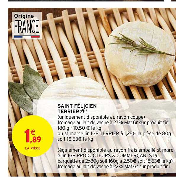 saint félicien terrier