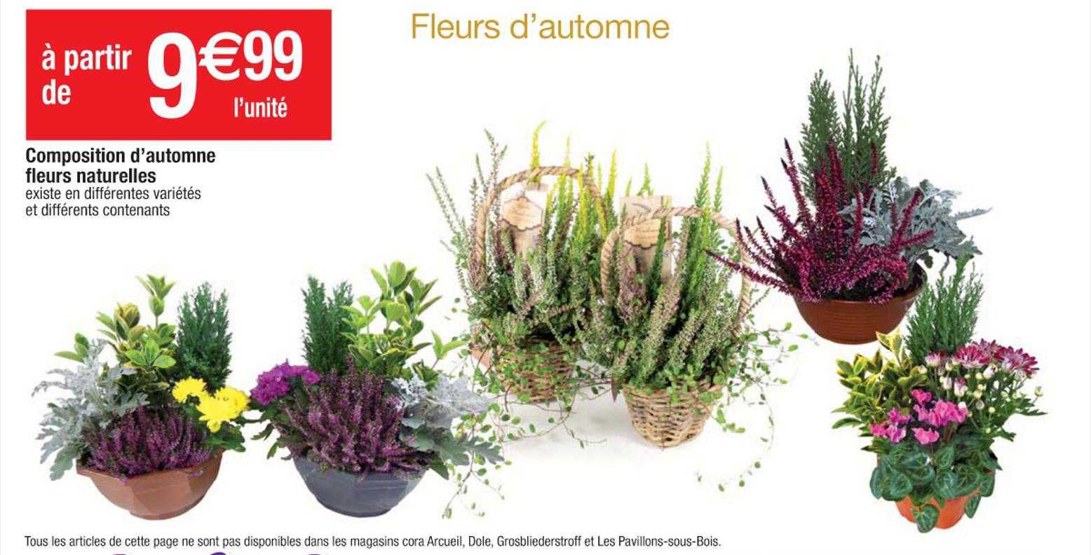 composition d'automne fleurs naturelles