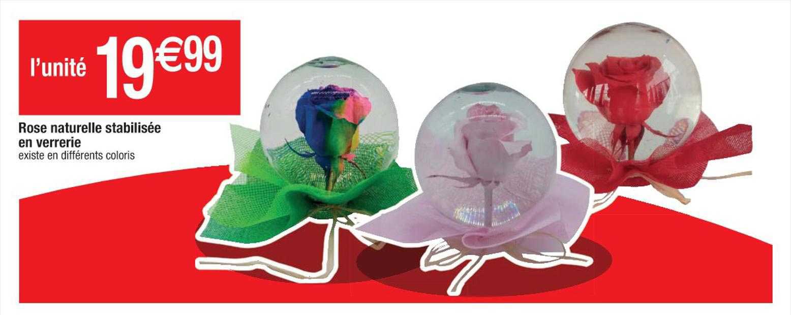 rose naturelle stabilisée en verrerie