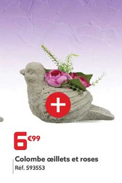 colombe œillets et roses