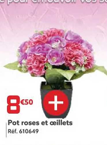 Pot Roses Et Oeillets