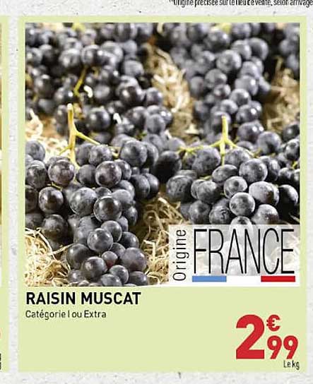 Raisin Muscat