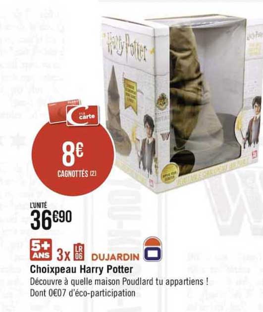 Choixpeau Harry Potter Dujardin