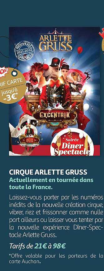 cirque arlette gruss