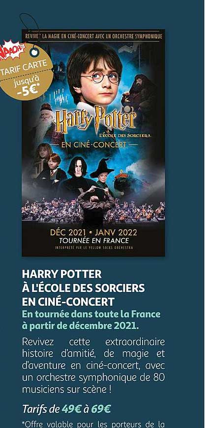 harry potter à l'école des sorciers en ciné-concert