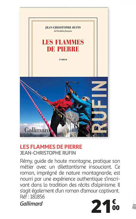 les flammes de pierre jean-christophe rufin