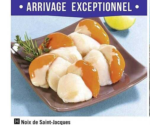 noix de saint-jacques