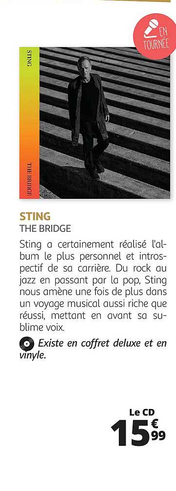sting - the bridge