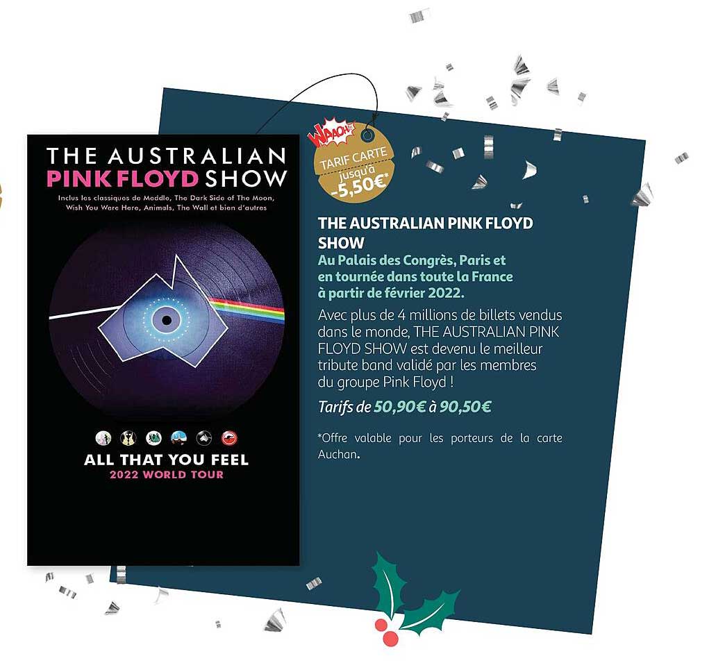 the australian pink floyd show