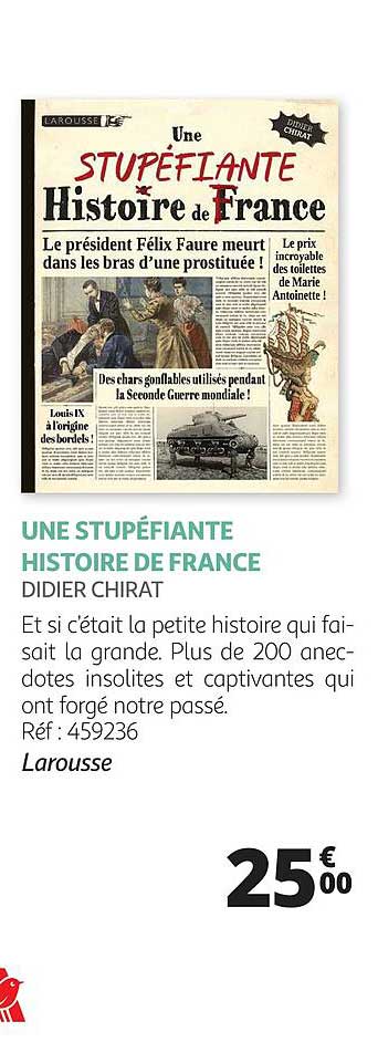 une stupéfiante histoire de france - didier chirat