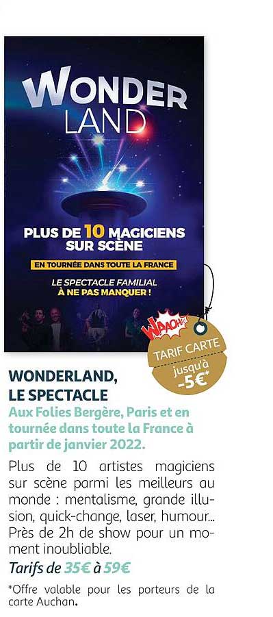 wonderland, le spectacle