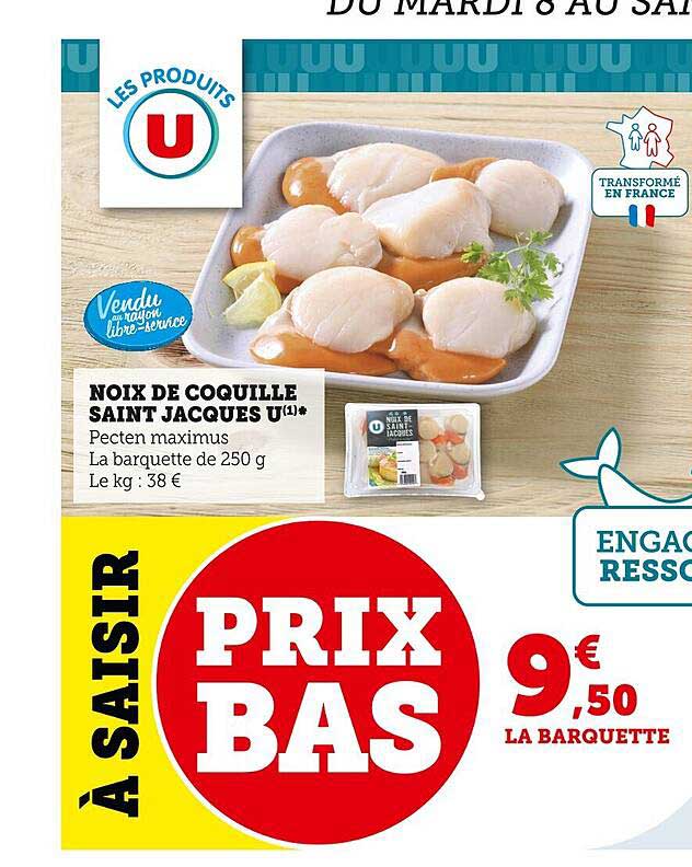 noix de coquille saint jacques u