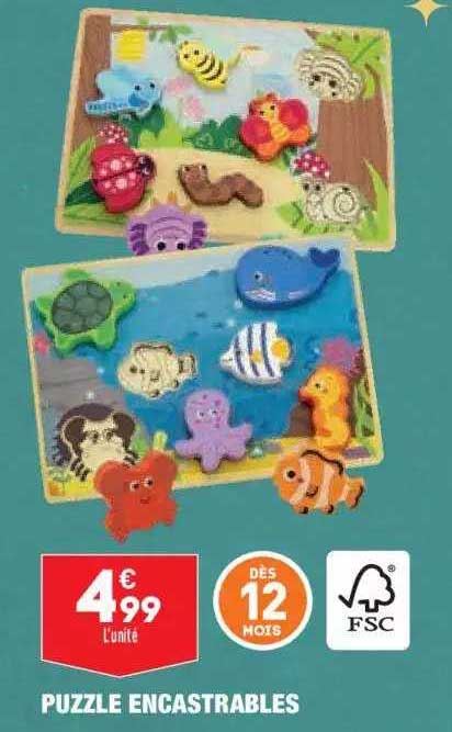 puzzle encastrables
