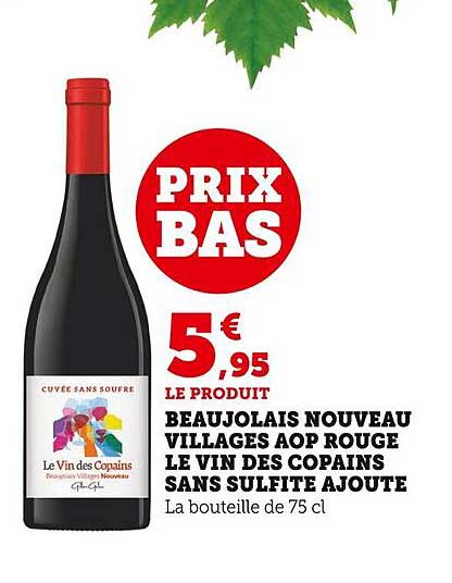 beaujolais nouveau villages aop rouge le vin des copains sans sulfite ajouté