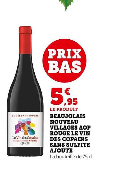 beaujolais nouveau villages aop rouge le vin des copains sans sulfite ajouté