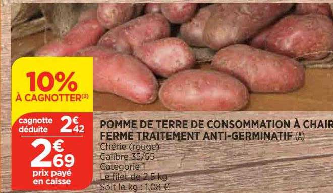Pomme De Terre De Consommation à Chair Ferme Traitement Anti-germinatif