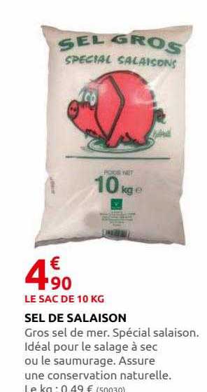 sel de salaison