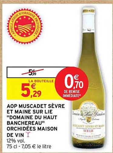 aop muscadet sèvre et maine sur lie "domaine du haut banchereau" orchidées maison de vin