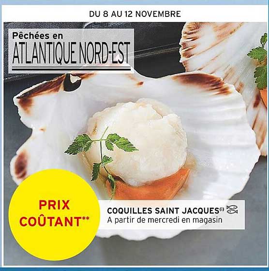 coquilles saint jacques