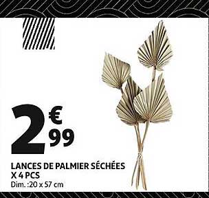 lances de palmier séchées x 4 pcs