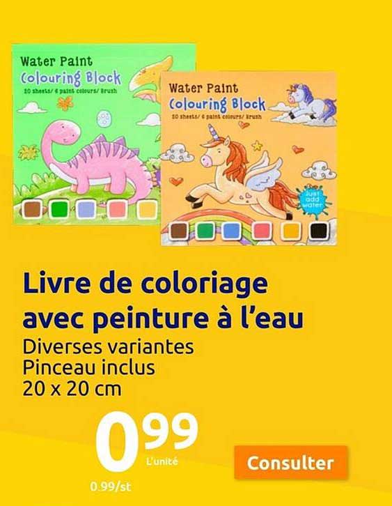 livre de coloriage avec peinture à l'eau