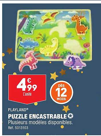 Puzzle Encastrable Playland