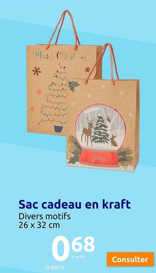 Sac Cadeau En Kraft