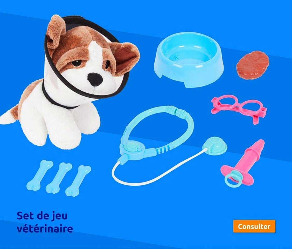 Set De Jeu Vétérinaire