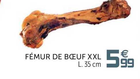 fémur de bœuf xxl