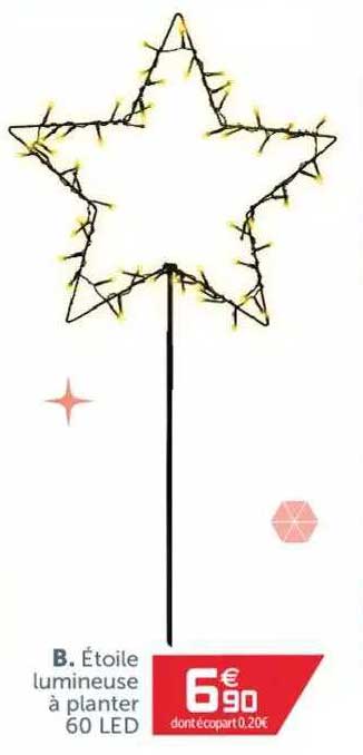étoile lumineuse à planter 60 led