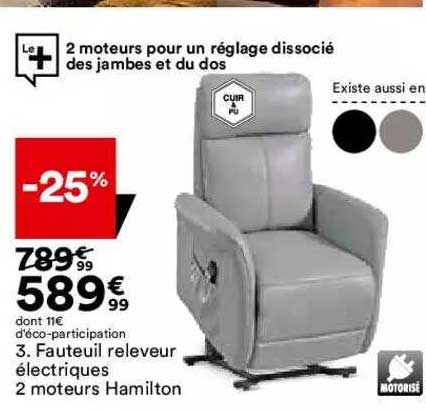 fauteuil releveur électriques 2 moteurs hamilton