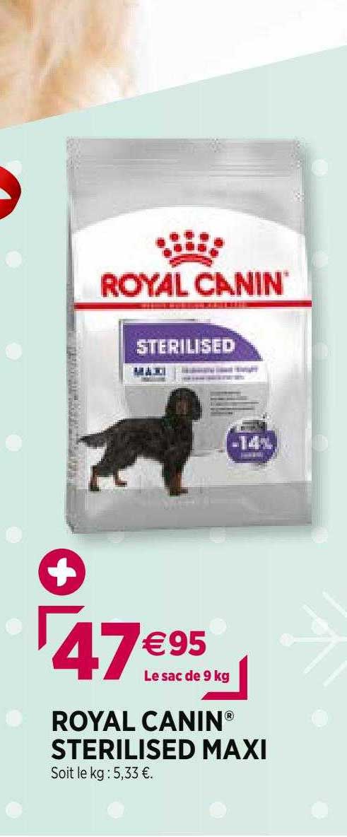 royal canin sterilised maxi