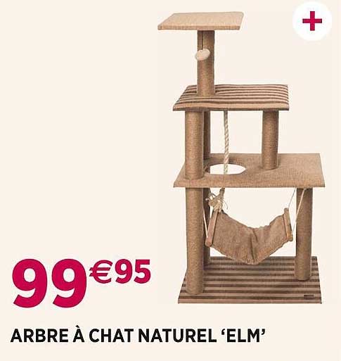 arbre à chat naturel 'elm'