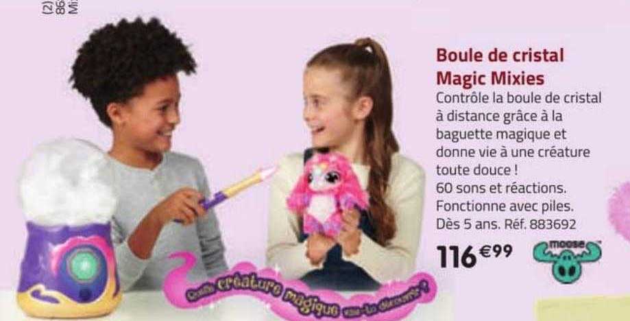 boule de cristal magic mixies moose