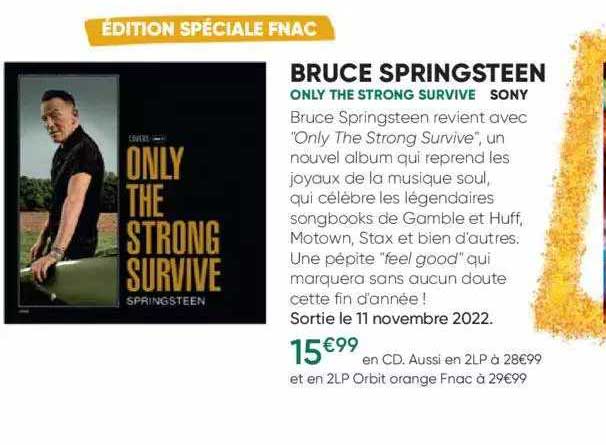 bruce springsteen - only the strong survive - sony